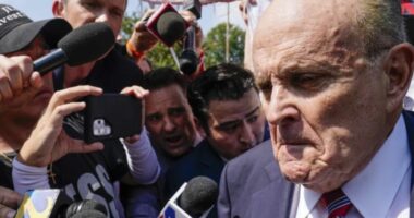 Manipulimi i zgjedhjeve në Xhorxhia, ish-avokati i Trump shpallet i pafajshëm