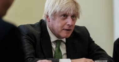 Vonesat në dërgesat e armëve në Ukrainë, Johnson kritikon Britaninë: “Çfarë dreqin po presim?”