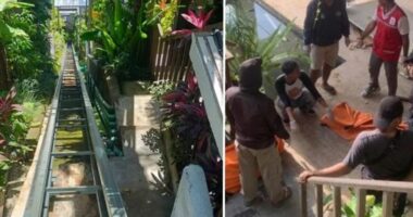 Këputet kablloja e ashensorit në një hotel luksoz në Bali, vdesin 5 të rinj