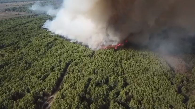 VIDEO/ Riaktivizohen vatrat e zjarrit në Pishporo, flakët “përpijnë” masivin me pisha