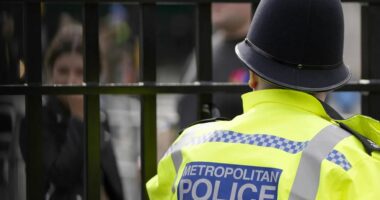 Vrasja e një oficeri me ngjyrë nga një koleg në Britani, më shumë se 100 policë dorëzojnë armët