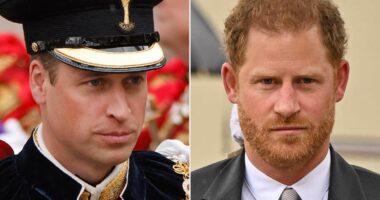 Marrëdhënia William – Harry, çfarë pritet të ndodhë në përvjetorin e vdekjes së Mbretëreshës Elizabeth