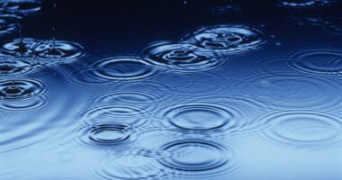 Arsyeja pse na pëlqen zhurma e shiut