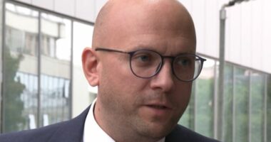 Sarrazin: E dënojmë fuqishëm sulmin kriminal e terrorist ndaj Policisë së Kosovës