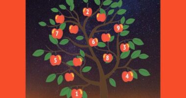 Test/ Zgjidhni një frut dhe shprehni një dëshirë, kjo pemë do t’ju tregojë se kur do të realizohet