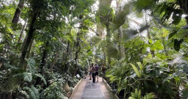 Kopshti botanik mbretëror në Londër, më i vjetri dhe një nga më të rëndësishmit në botë