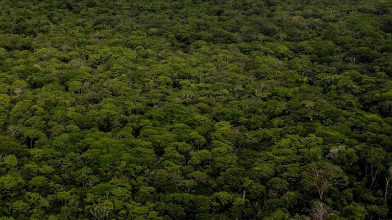 Thatësira në Amazonë mund të prekë negativisht 500 mijë njerëz