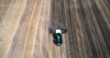 Rumani: Sulmet ruse në portet e Ukrainës në Danub do të ngadalësojnë eksportet e grurit