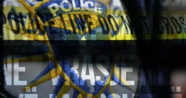 Vrasje me armë zjarri në Malishevë, dorëzohet në polici autori