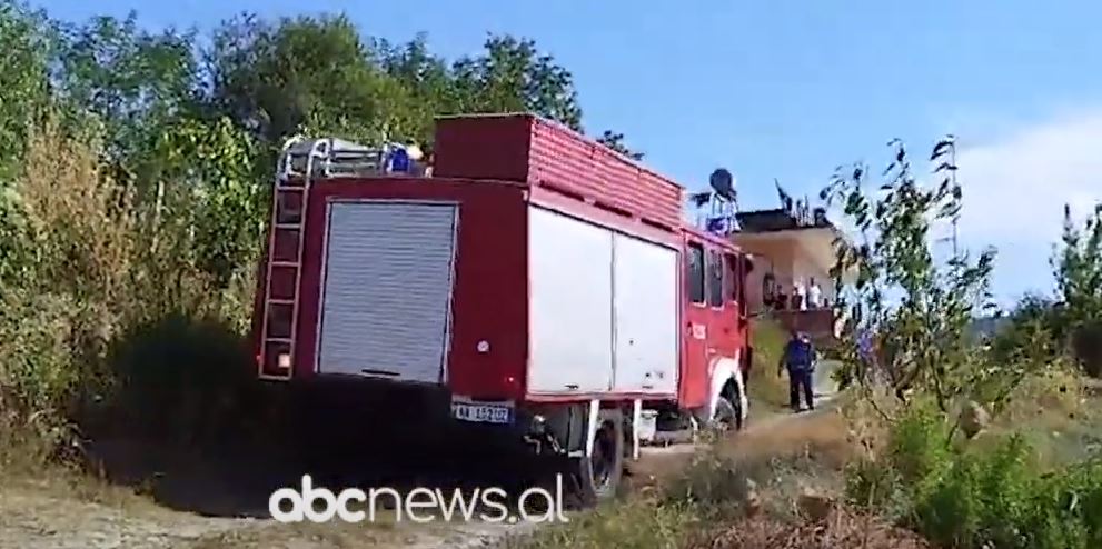 Zjarr në Elbasan/ I moshuari hedh cigaren dhe marrin flakë pemët frutore e ullinjtë