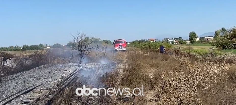 Zjarr i madh në hekurudhën Shkodër-Vorë/ Digjen 1 km traversa druri, dyshimet e para