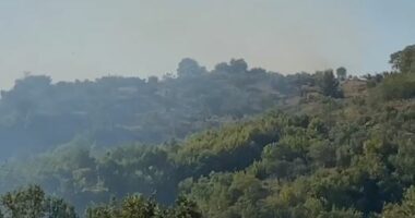 Digjen ullishtet në Bubq, dyshohet zjarrvënie e qëllimshme