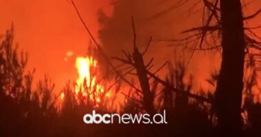 VIDEO/ Riaktivizohet vatra e zjarrit në pyllin e Darëzezës, zjarrfikësit vështirësi për shuarjen e flakëve