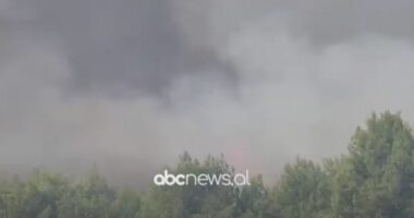 Vijon zjarri në pyllin e Pishporos, prefekti i Fierit: Kemi tërhequr herë pas here trupat për shkak të rrezikut