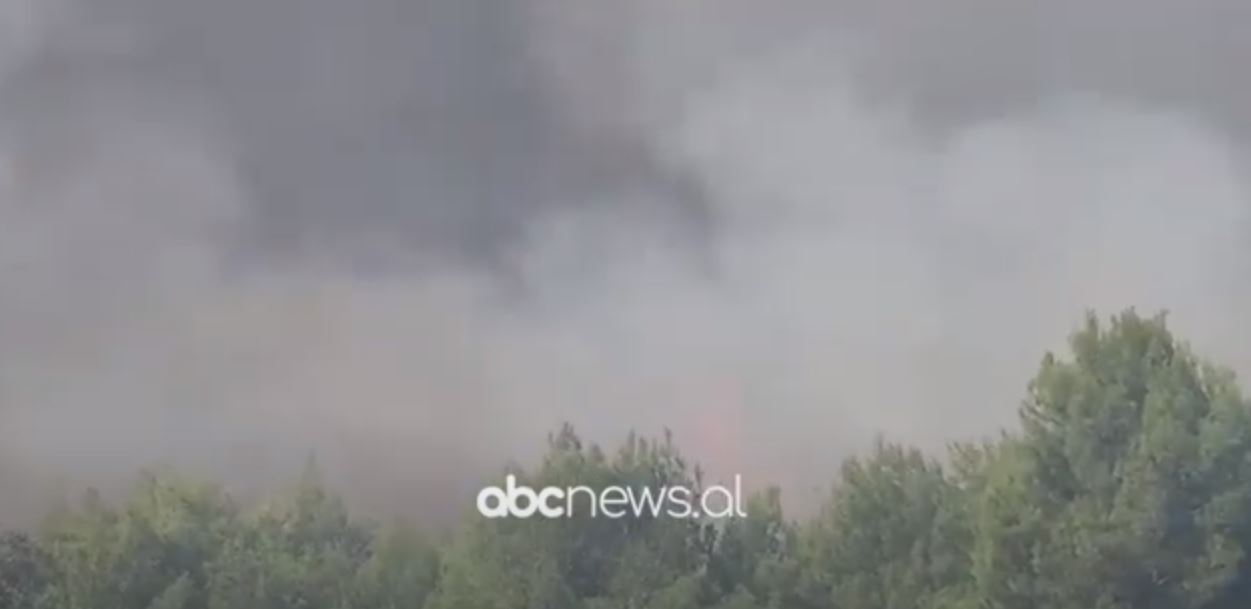 Vijon zjarri në pyllin e Pishporos, prefekti i Fierit: Kemi tërhequr herë pas here trupat për shkak të rrezikut