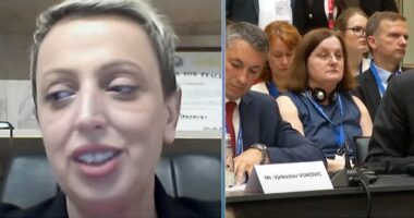 Tregu i përbashkët rajonal/ Beqiri: Kosova nën masa, afekton bashkëpunimin me vendet e tjera