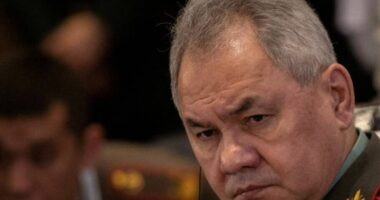 Ministri rus i Mbrojtjes takohet me komandantët e ushtrisë në Ukrainë