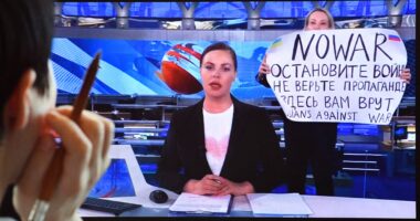 “Putin është vrasës”, dënohet me 8.5 vite burg gazetarja që nxorri parrullën në TV