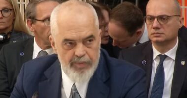 “Status për vendet jo anëtare të BE-së”, Rama: Do të kuptonim më mirë sfidat e përbashkëta