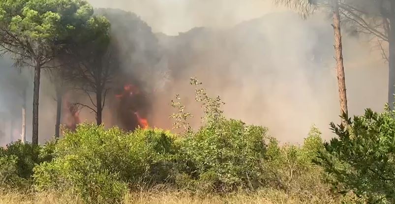 Kur pritej neutralizimi i flakëve, situata me zjarret bëhet më kaotike në Fier/ Riaktivizohen disa vatra, banorët nisin korrjen e të mbjellave