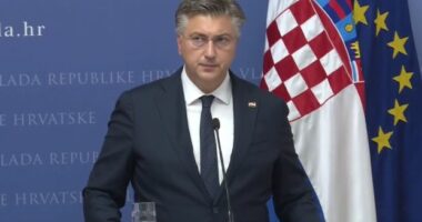 “Ndërkombëtarët të reagojnë qartë dhe të jenë krah Kosovës”, Plenkoviç: Dënojmë sulmin në veri, BE mund të ndërmarrë ndaj Serbisë