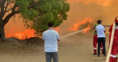 VIDEO/ Flakët disa metra të larta, kjo është situata e zjarrit midis Pishë Poros dhe Darëzezës