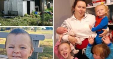 Prekëse/ 4 vjeçari vdes duke shpëtuar motrën dhe vëllain nga zjarri