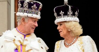 Hakerat rusë sulmojnë faqen zyrtare të familjes mbretërore britanike