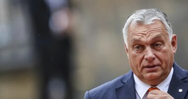 Orban: Hungaria nuk do të lejojë demonstrata pro-terroriste në Europë