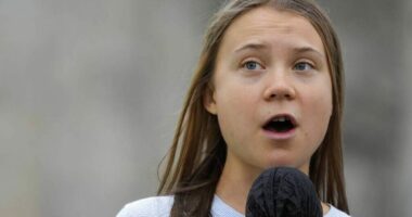 Arrestohet Greta Thunberg gjatë një proteste për klimën