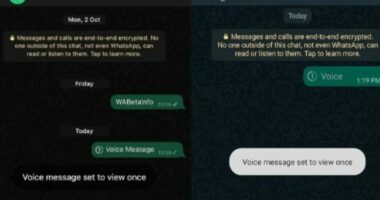 WhatsApp teston audio-mesazhet që mund të dëgjohen vetëm njëherë