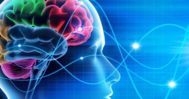 ‘Replay’ i të gjithë jetës në pak sekonda: Çfarë ndodh me trurin e njeriut pas vdekjes?