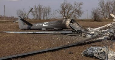 Ukraina: Kemi sulmuar “me sukses” bazat ajrore ruse në Luhansk dhe Zaporizhia