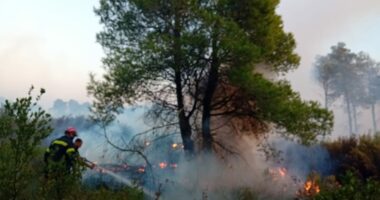 Zjarri në Darëzezë/ Forcat zjarrfikëse nuk mundën ta vinin nën kontroll, pritet ndërhyrja nga ajri ditën e nesërme