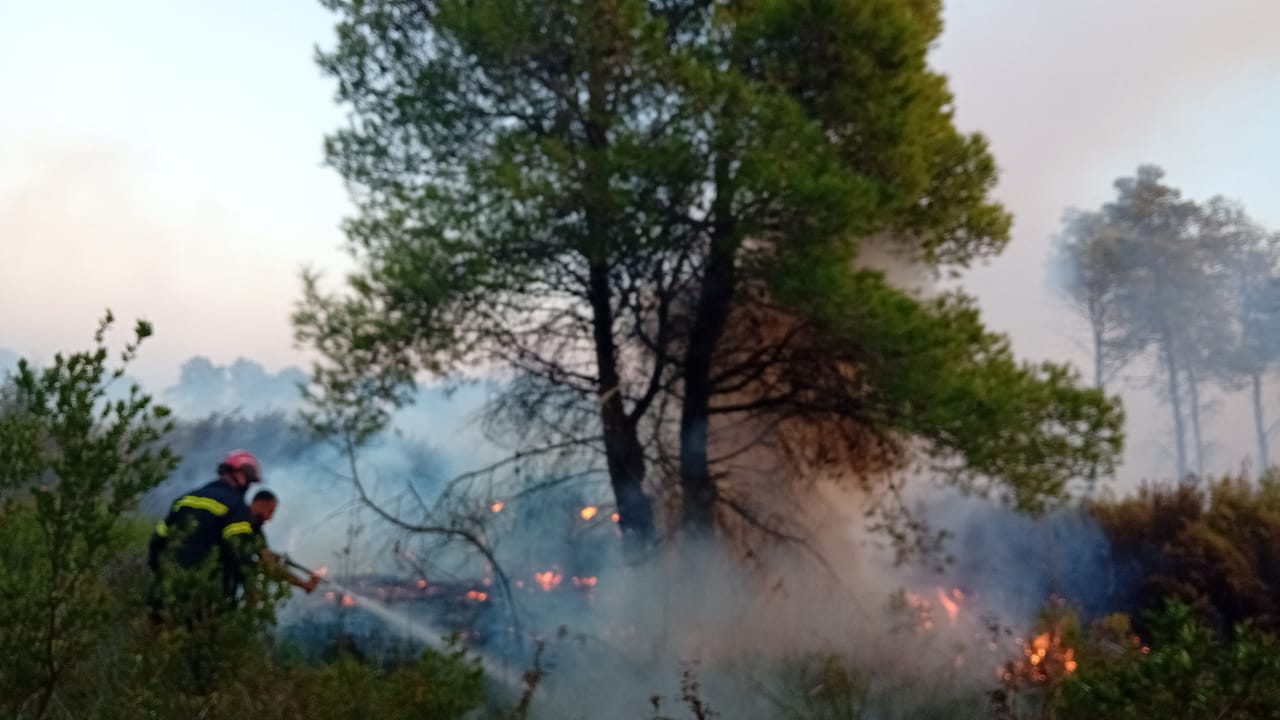 Zjarri në Darëzezë/ Forcat zjarrfikëse nuk mundën ta vinin nën kontroll, pritet ndërhyrja nga ajri ditën e nesërme