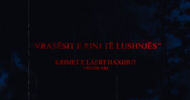 Gjërat Tona/ Vrasësit e rinj të Lushnjës, krimet e Laert Haxhiut