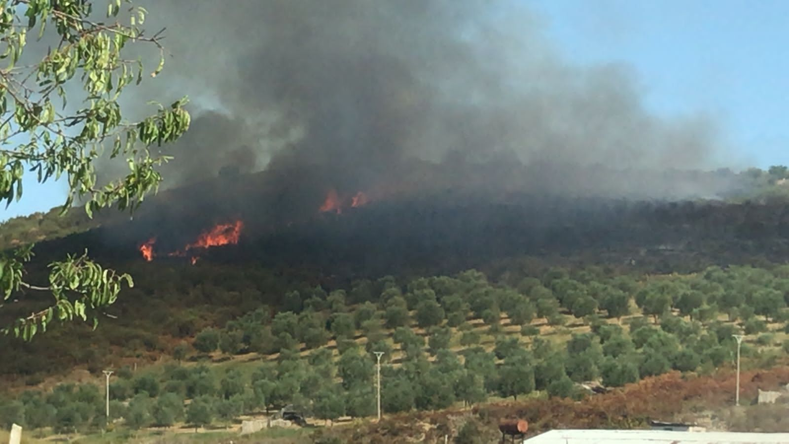 Zjarr pranë fshatit Risili të Vlorës, tre zjarrfikëse në vendin e ngjarjes