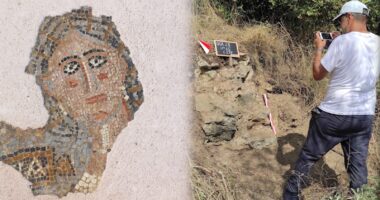 Zbulimi i rrallë arkeologjik në Tepelenë, vendbanimi mund të jetë më i madhi në Ballkan