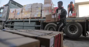 Lufta Izrael-Hamas/ 13 kamionë të tjerë me ndihma mbërrijnë në Gaza, OBSH paralajmëron për katastrofë të shëndetit publik