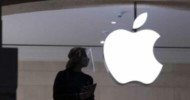 Apple paralajmëron rritje të çmimeve të shumë prej shërbimeve të saj të abonimit