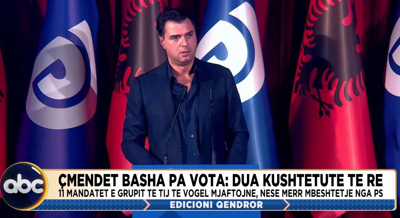 Çmendet Basha pa vota: Dua kushtetutë të re. 11 mandatet e grupit të tij të vogël mjaftojnë, nëse merr mbështetje nga PS