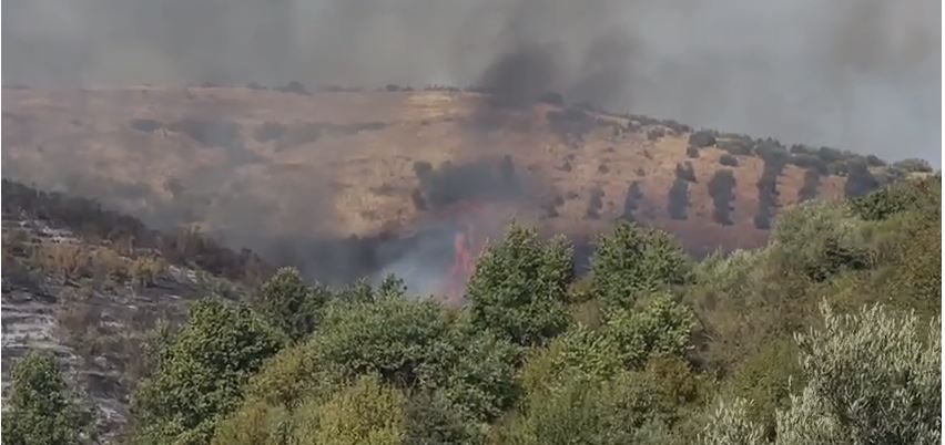Zjarr në fshatin Kraps të Fierit, përfshihet nga flakët një sipërfaqe me ullishte