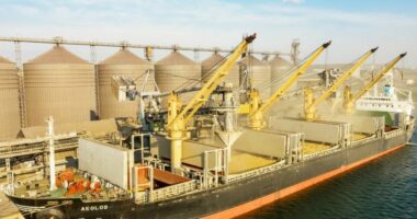 Ukraina “ngrin” transportin e grurit, shkak prania e shtuar e ushtarëve rusë në Detin e Zi