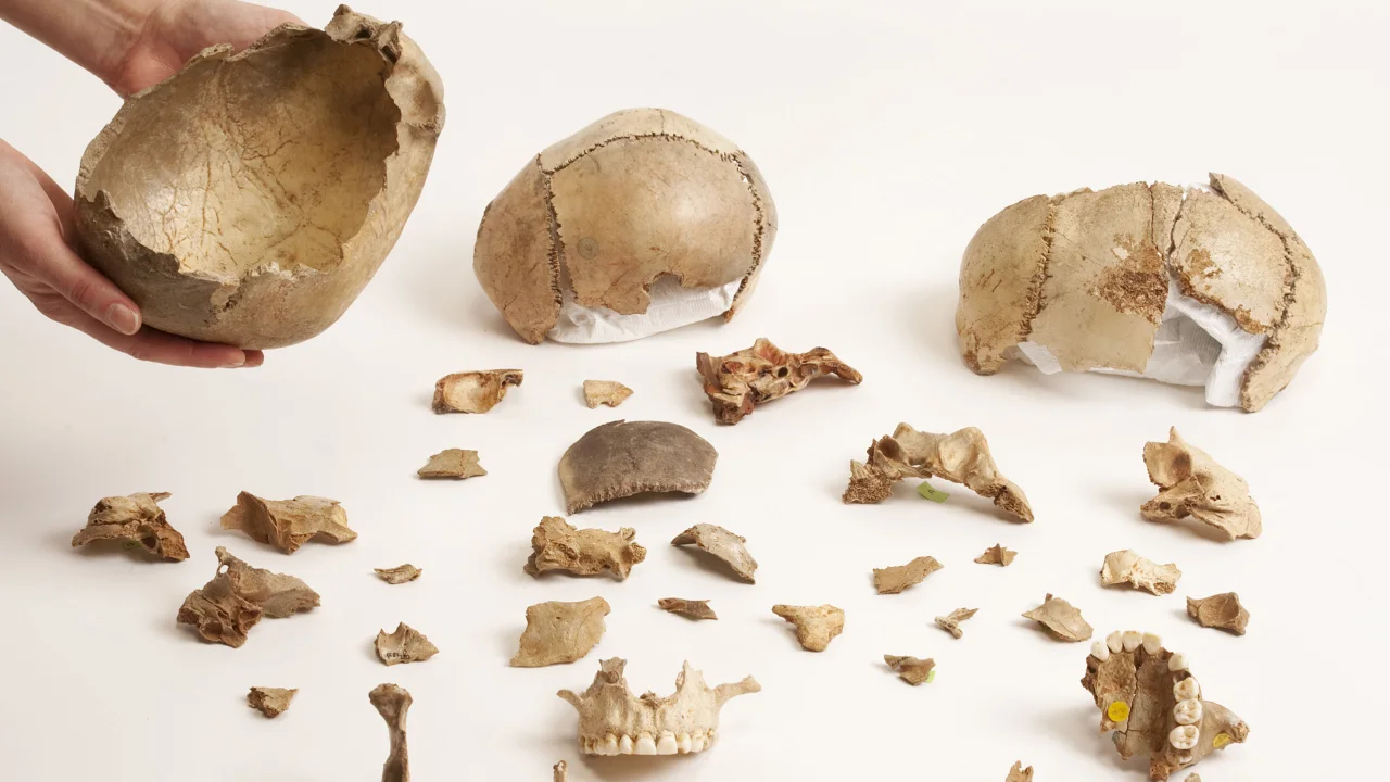 Studimi: Kanibalizmi ishte një ritual funerali në Evropë 15,000 vjet më parë