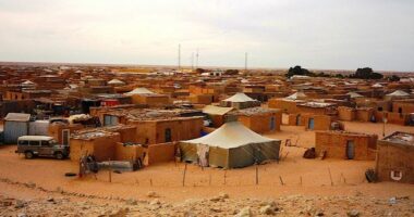 Axhenda e BE-së për frenimin e emigrantëve rrezikon të forcojë xhihadistët