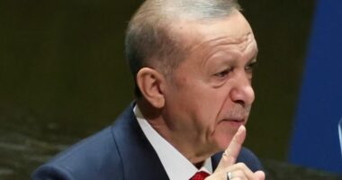 Erdogan: Nuk presim më asgjë nga BE