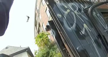 SHBA/ U zu ngushtë nga policia, “skifteri” i pallateve hidhet me parashutë për t’i shpëtuar arrestimit