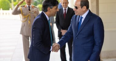 Pas takimit me kryeministrin e Izraelit, Rushi Sunak takohet me presidentin e Egjiptit