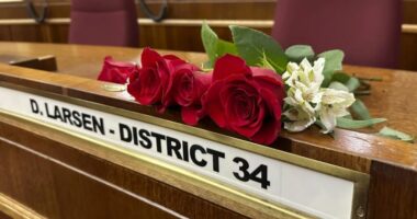 Tragjike, senatori amerikan dhe familja e tij vdesin në një aksident ajror