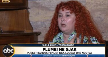 Plumbi në gjak/ Mjekët: Kujdes fëmijët nga lodrat dhe ndotja